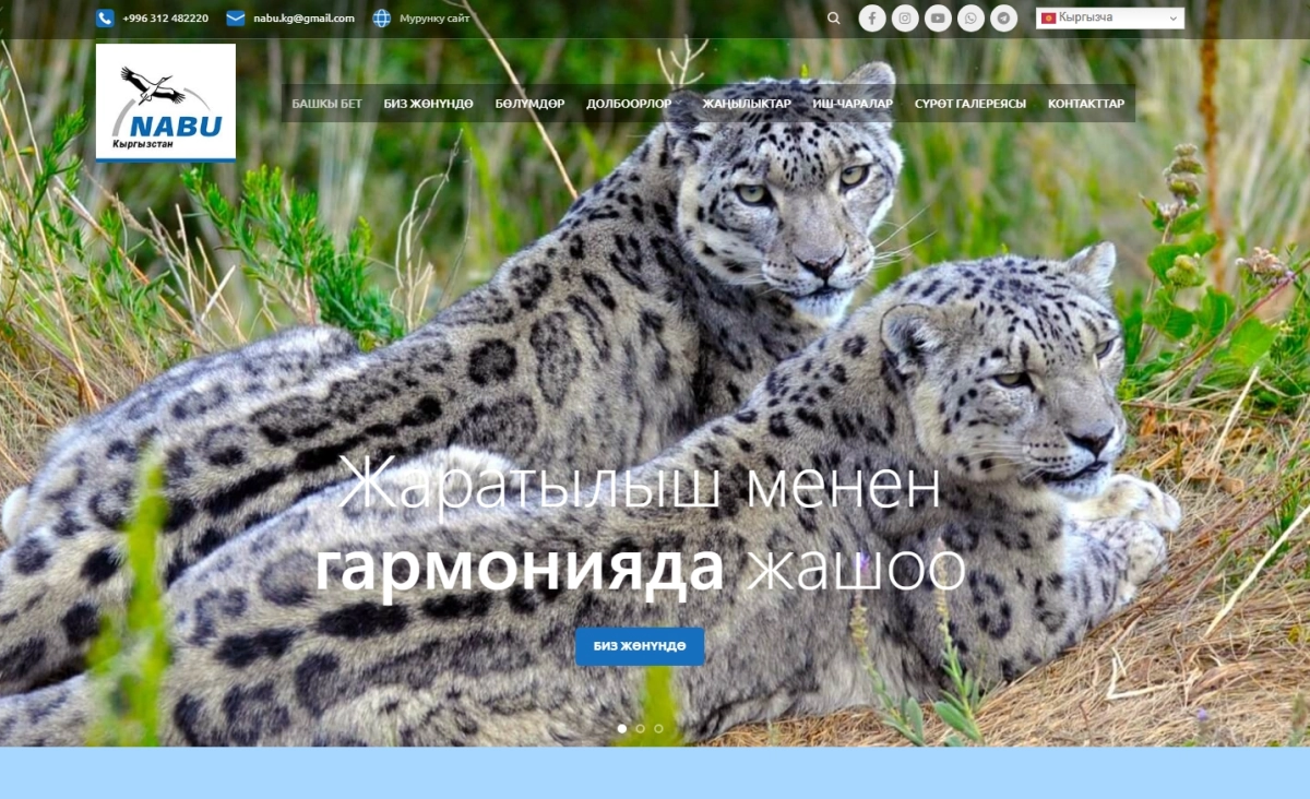 Филиал NABU в Кыргызстане